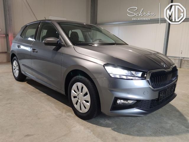 Skoda / Fabia / Grau / / / , Beispielbilder, ggf. teilweise mit Sonderausstattung