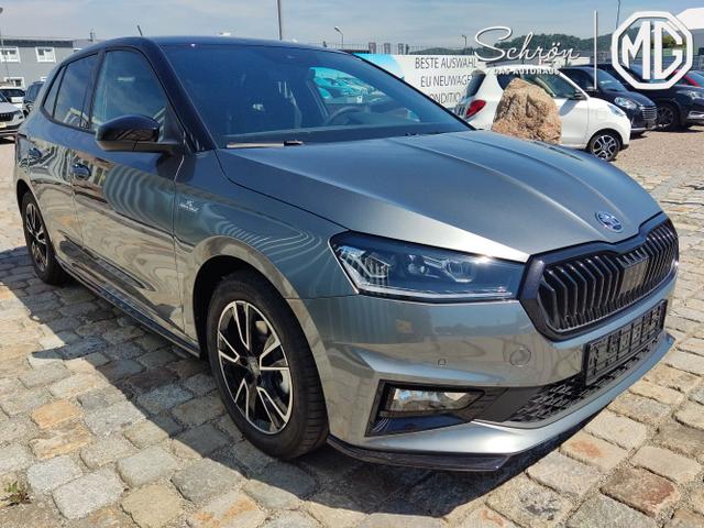 Skoda / Fabia / Grau / / / , Beispielbilder, ggf. teilweise mit Sonderausstattung