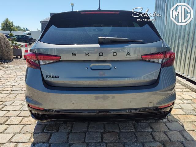Skoda / Fabia / Grau / / / , Beispielbilder, ggf. teilweise mit Sonderausstattung