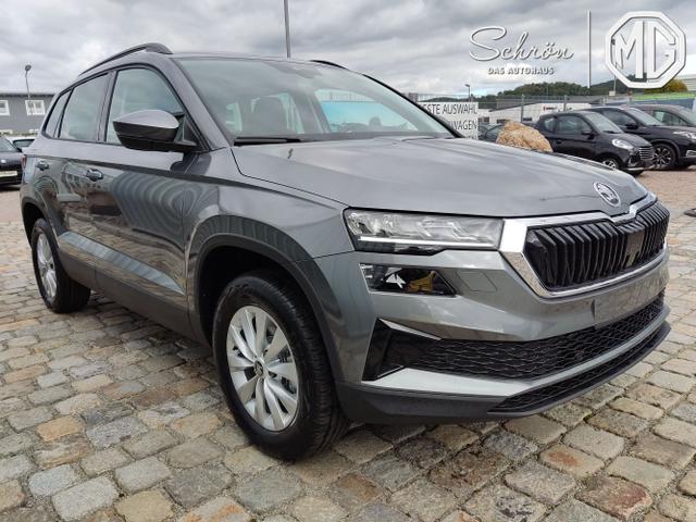 Skoda / Karoq / Grau / / / , Beispielbilder, ggf. teilweise mit Sonderausstattung