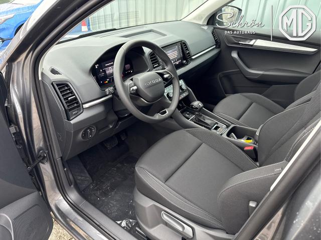 Skoda / Karoq / Grau / / / , Beispielbilder, ggf. teilweise mit Sonderausstattung