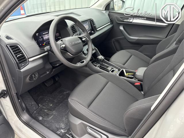 Skoda / Karoq / Grau / / / , Beispielbilder, ggf. teilweise mit Sonderausstattung