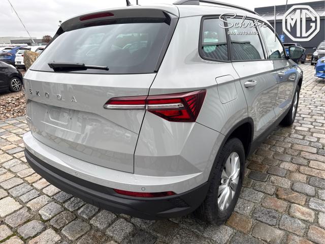 Skoda / Karoq / Grau / / / , Beispielbilder, ggf. teilweise mit Sonderausstattung