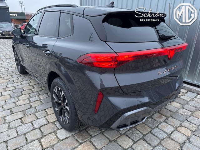 Cupra / Terramar / Grau / / / 