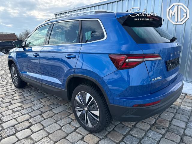 Skoda / Karoq / Blau / / / 