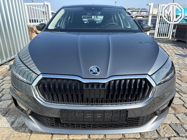 Skoda / Fabia / Grau / / / , Beispielbilder, ggf. teilweise mit Sonderausstattung