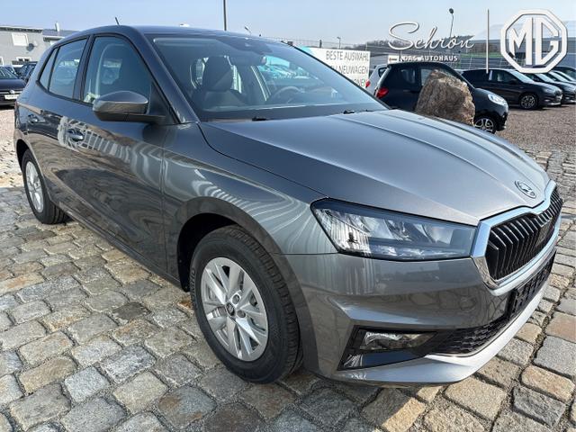 Skoda / Fabia / Grau / / / , Beispielbilder, ggf. teilweise mit Sonderausstattung