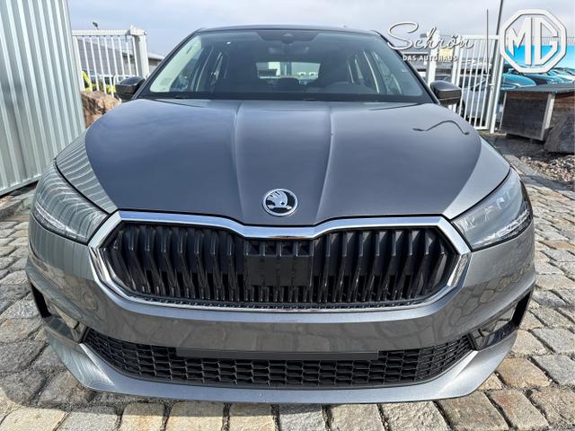 Skoda / Fabia / Grau / / / , Beispielbilder, ggf. teilweise mit Sonderausstattung