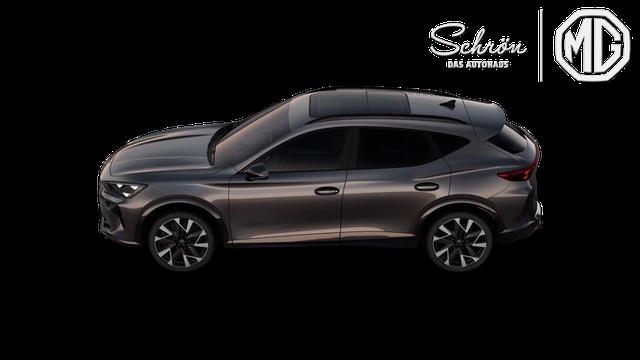 Cupra Formentor VZ 2.0 TSI 7-Gang-DSG 4Drive 