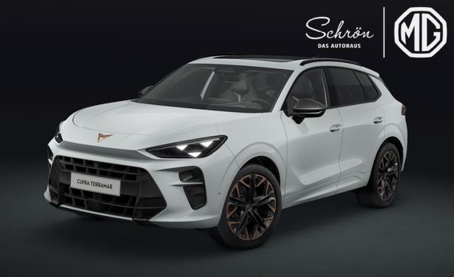 Cupra Terramar - VZ 2.0 TSI 195 kW (265 PS) 7-Gang DSG 4Drive