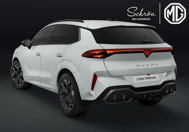Cupra Terramar VZ 2.0 TSI 7-Gang-DSG 4Drive 