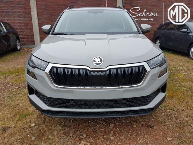 Skoda / Karoq / Grau / Fresh / / Stahlgrau DSG , Beispielbilder, ggf. teilweise mit Sonderausstattung