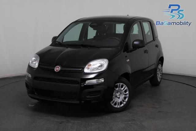 Fiat Panda - Pandina Icon (Pandina Icon) 1.0 Mild-Hybrid (65PS) 6-Gang Schaltgetriebe