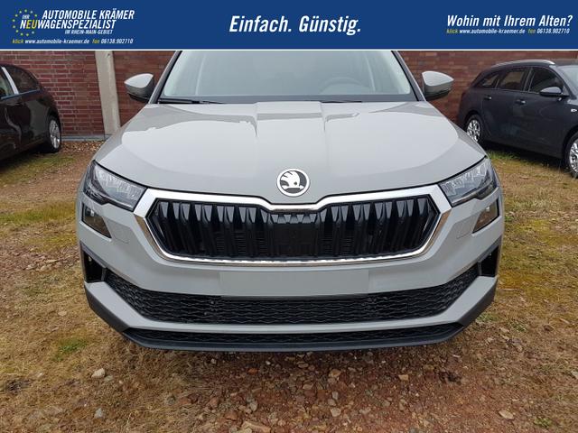 Skoda / Karoq / Grau / Fresh / / Stahlgrau DSG 