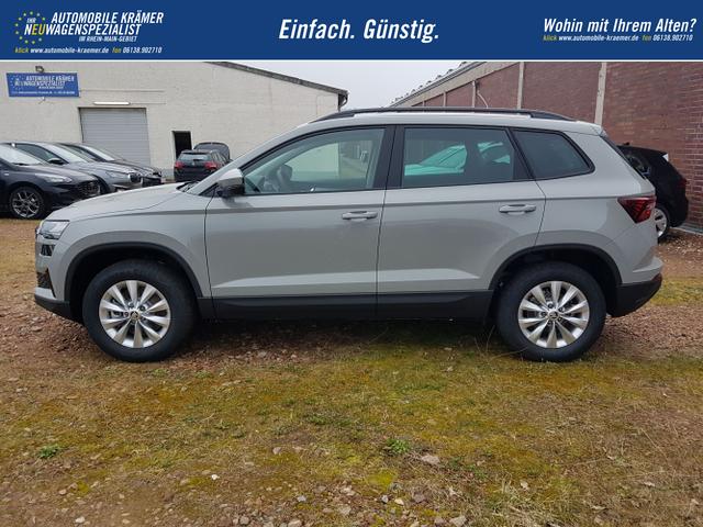 Skoda / Karoq / Grau / Fresh / / Stahlgrau DSG 
