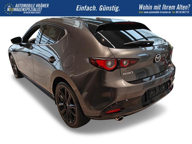 Beispielbilder, ggf. teilweise mit Sonderausstattung