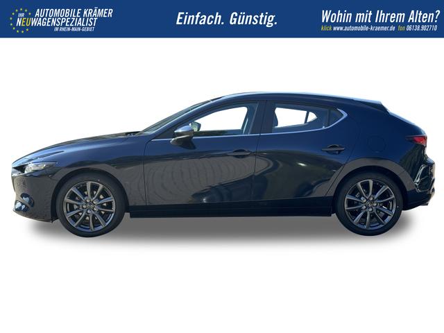 Beispielbilder, ggf. teilweise mit Sonderausstattung