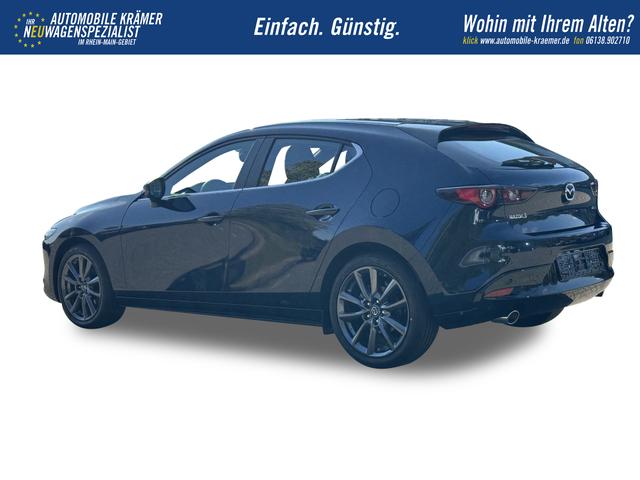 Beispielbilder, ggf. teilweise mit Sonderausstattung