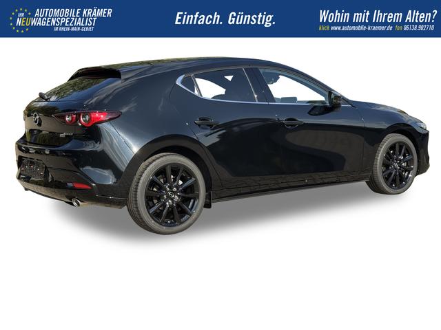 Beispielbilder, ggf. teilweise mit Sonderausstattung