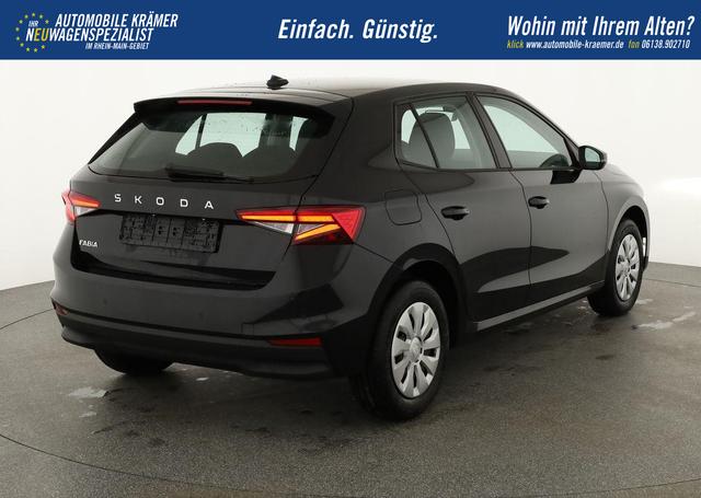 Skoda Fabia Selection 1.0 TSI Selection, Tempomat, Park, Winterpaket, SmartLink, 4-J Garantie 