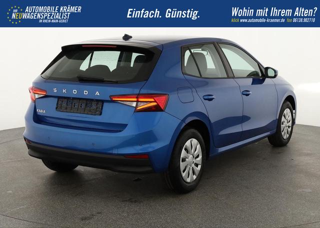 Skoda Fabia Selection 1.0 TSI Selection, Tempomat, Park, Winterpaket, SmartLink, 4-J Garantie 