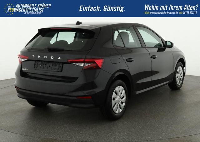 Skoda Fabia Selection 1.0 TSI Selection, Park, Winterpaket, SmartLink, 4-J Garantie 