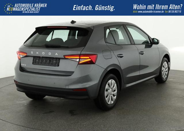 Skoda Fabia Selection 1.0 TSI Selection, Park, Winterpaket, SmartLink, 4-J Garantie 
