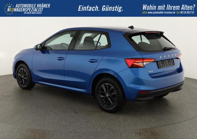 Skoda Fabia Selection 1.0 TSI Selection, LED, Kamera, Winter, 5 J.-Garantie 