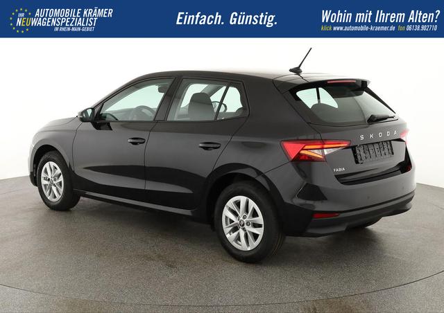 Skoda Fabia Selection 1.0 TSI Selection, LED, Kamera, Winter, 5 J.-Garantie 