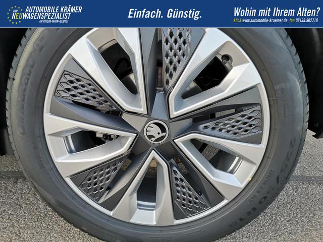 Skoda Karoq Selection 2.0 TDI DSG 4x4 GV5 AHK 18 Ladeb 