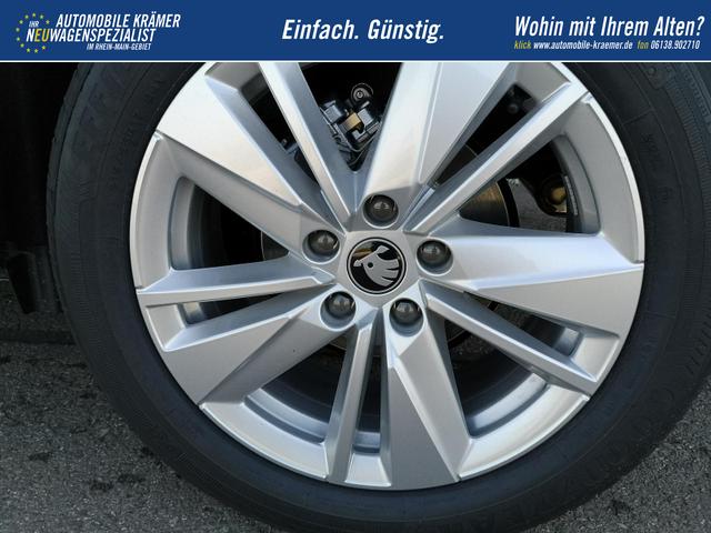 Skoda Karoq Selection 1.5 TSI DSG GV5 AHK 17 Ladeb 