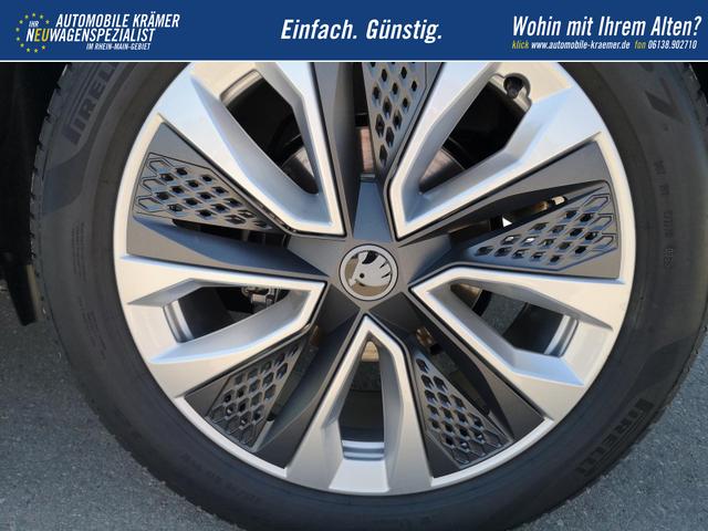 Skoda Karoq Selection 2.0 TDI DSG 4x4 GV5 AHK 18 Ladeb 