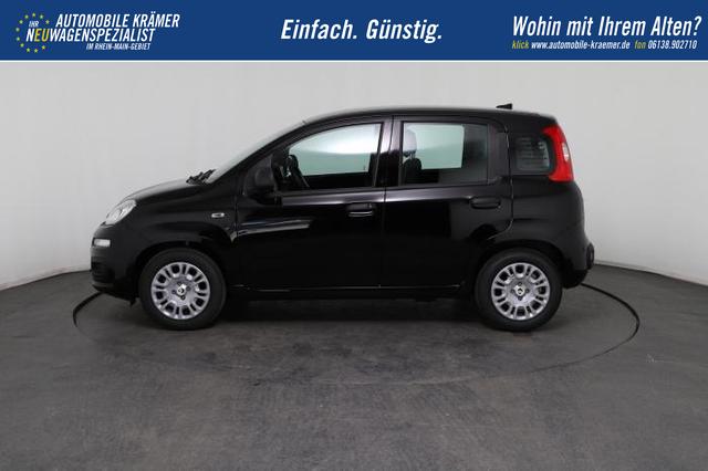 Fiat Panda Pandina Icon (Pandina Icon) 1.0 Mild-Hybrid (65PS) 6-Gang Schaltgetriebe 
