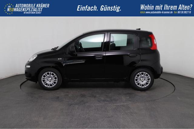 Fiat Panda Pandina Icon (Pandina Icon) 1.0 Mild-Hybrid (65PS) 6-Gang Schaltgetriebe 