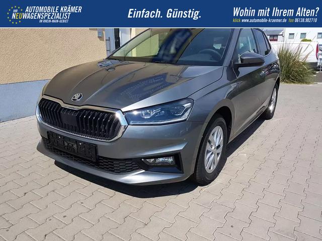 Skoda / Fabia / Grau / Style / / Graphik Grau, Beispielbilder, ggf. teilweise mit Sonderausstattung