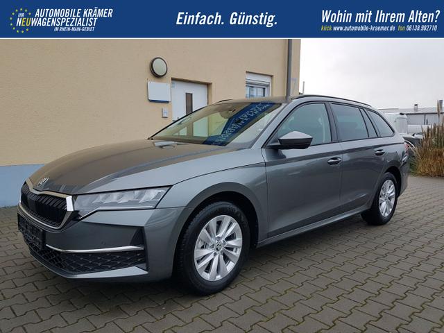 Skoda / Octavia / Grau / Selection / / 