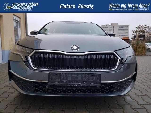 Skoda / Octavia / Grau / Selection / / 
