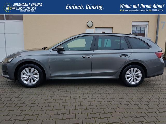 Skoda / Octavia / Grau / Selection / / 
