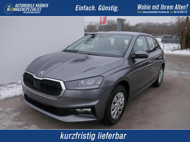Skoda Fabia - Selection 1.0 TSI DSG*NAVI-&Uuml;BER-SMARTLINK*LED*PDC-HI*SHZ*DAB*KLIMA