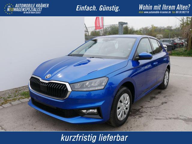 Skoda Fabia - Selection 1.0 TSI DSG*NAVI-&Uuml;BER-SMARTLINK*LED*PDC-HI*SHZ*DAB*KLIMA