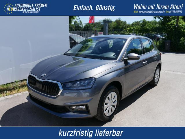Skoda Fabia - Selection 1.0 TSI *NAVI-&Uuml;BER-SMARTLINK*PDC-HI*LED*SHZ*KLIMA*RADIO