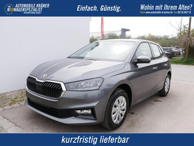 Skoda Fabia - Selection 1.0 TSI DSG*NAVI-&Uuml;BER-SMARTLINK*LED*PDC-HI*SHZ*DAB*KLIMA