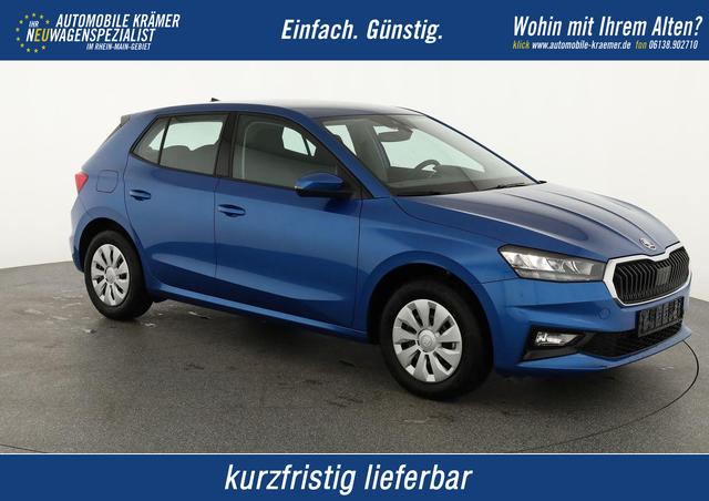 Skoda Fabia - Selection 1.0 TSI Selection, Ladeboden, Park, Winterpaket, SmartLink, 4-J Garantie