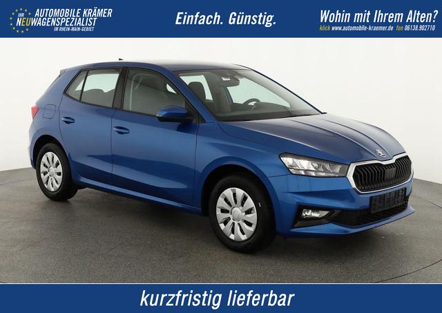 Skoda Fabia - Selection 1.0 TSI Selection, Park, Winterpaket, SmartLink, 4-J Garantie