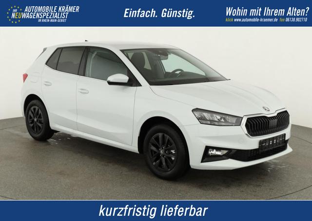 Skoda Fabia - Selection 1.0 TSI DSG Selection, 15-Zoll schwarz, Winter, Ladeboden