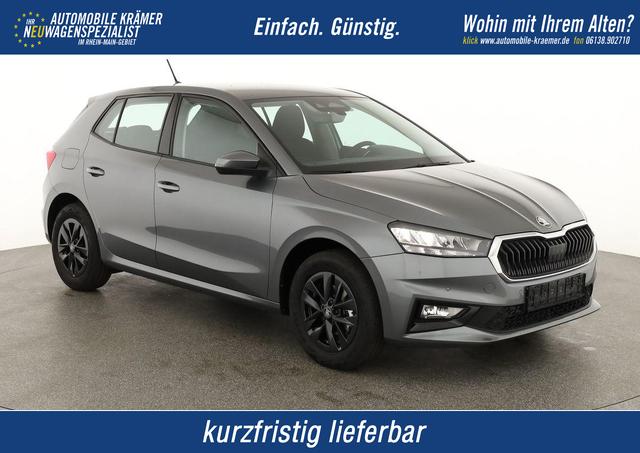 Skoda Fabia - Selection 1.0 TSI Selection, LED, Kamera, Winter, 5 J.-Garantie