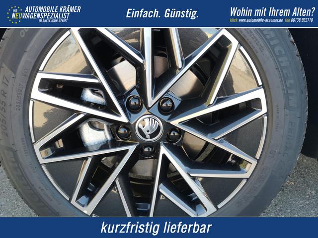 Skoda Octavia Combi - 2.0 TDI 110 kW Selection Kombi DSG 17 Lodge Navi PDC GV5 el. Hk