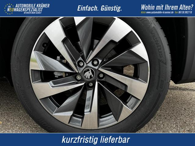 Skoda Kodiaq - 2.0 TDI 142 kW 4x4 Selection DSG 7 Sitzer 19 Zoll AHK el. HK Pano