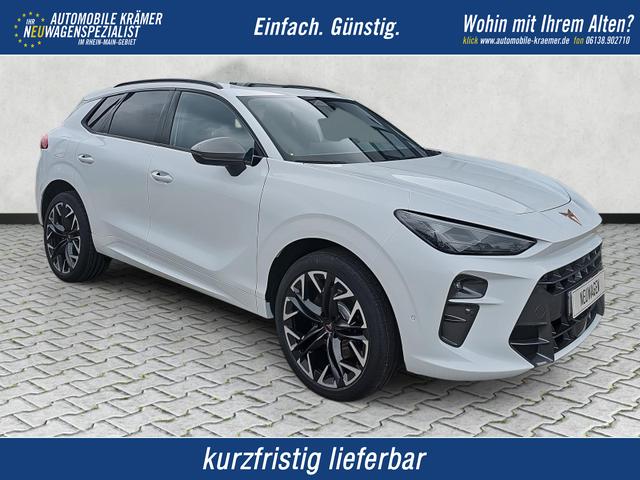 Cupra Terramar - 2.0 TSI 195 kW 4Drive VZ DSG Navi / AHK Pano