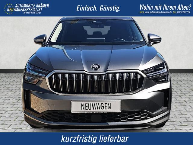 Skoda Kodiaq - 2.0 TDI 110 kW Selection DSG 7-Si. Matrix Memory